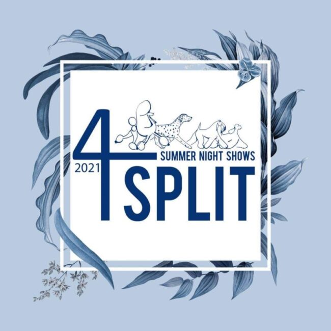 received_254859789398820-800×800