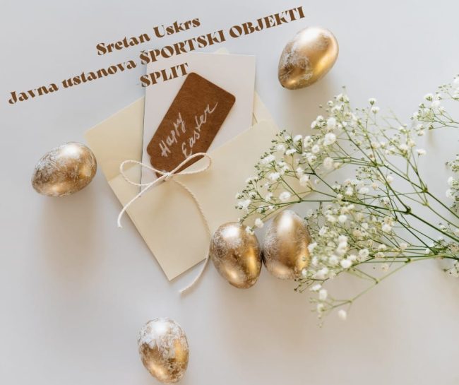 340325163_1285899735330838_1951274235514864246_n